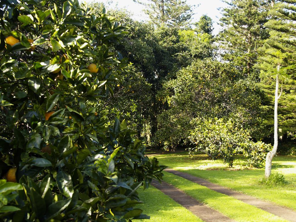 Hideaway Retreat Hotell Burnt Pine Eksteriør bilde